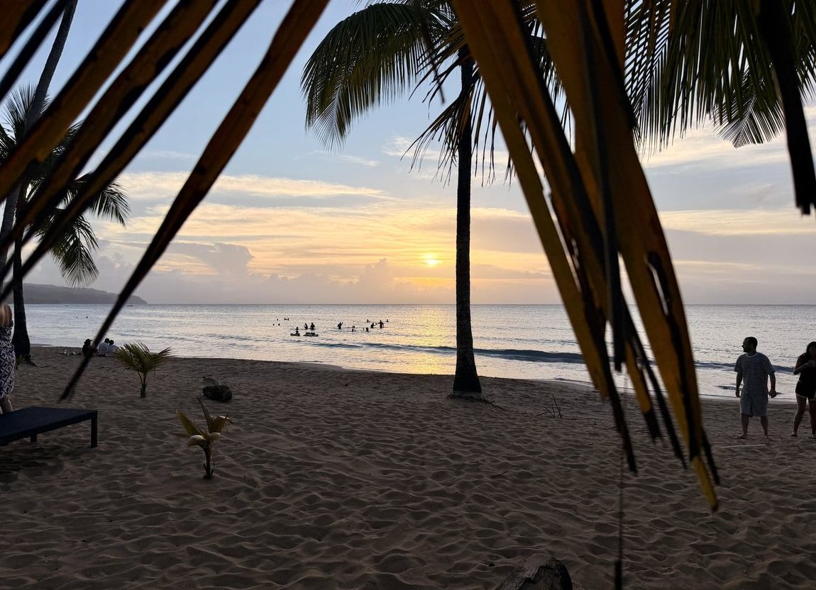 Coucher de soleil sur la baie de Cosón, sous les palmes