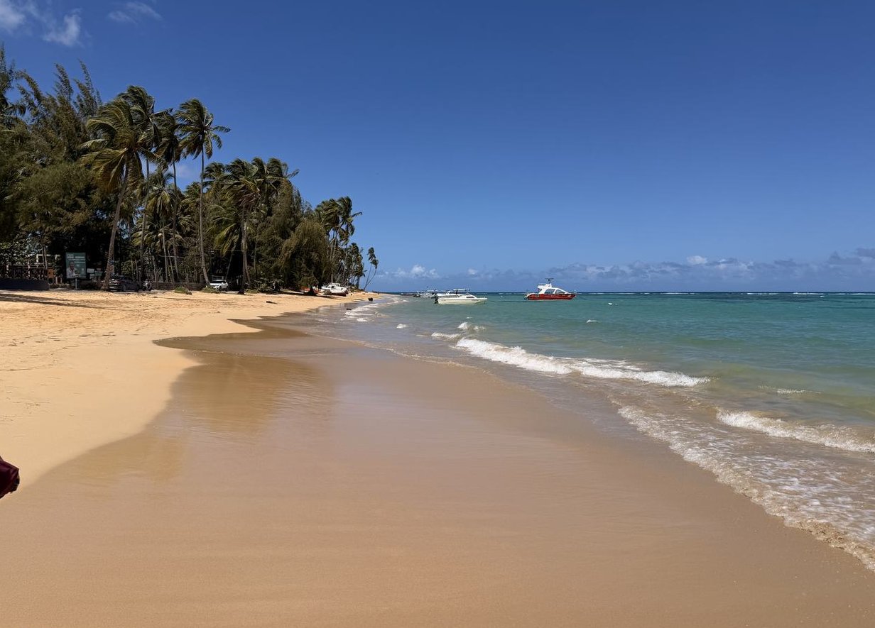 La plage du village à Punta Popy, Las Terrenas, avec ses bateaux et ses palmiers