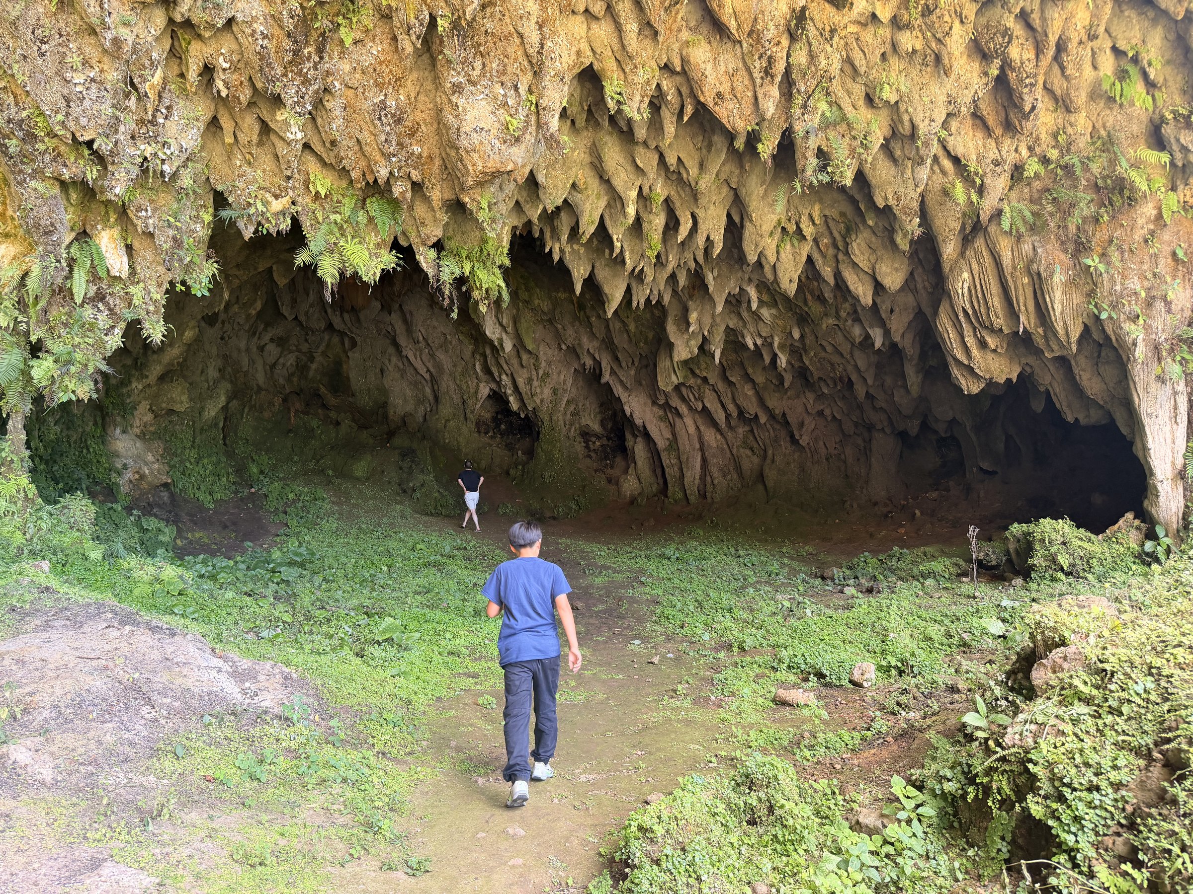 La Cueva Boulevard del Atlántico, grotte tapissée de stalactites au bord de la route de l'aéroport