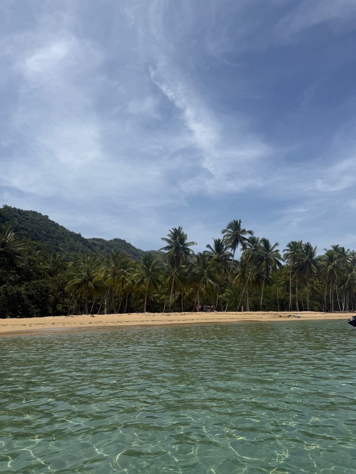 Playa Jackson vue de l'eau : palmiers, montagnes et eau cristalline