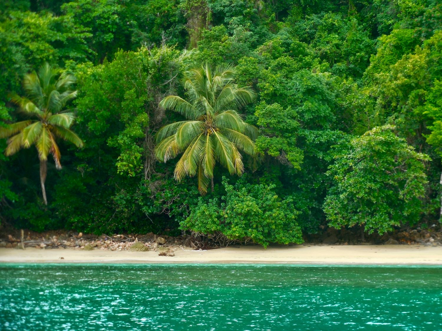 Une petite plage sauvage au pied de la jungle et des cocotiers, vue depuis un bateau sur l'eau turquoise