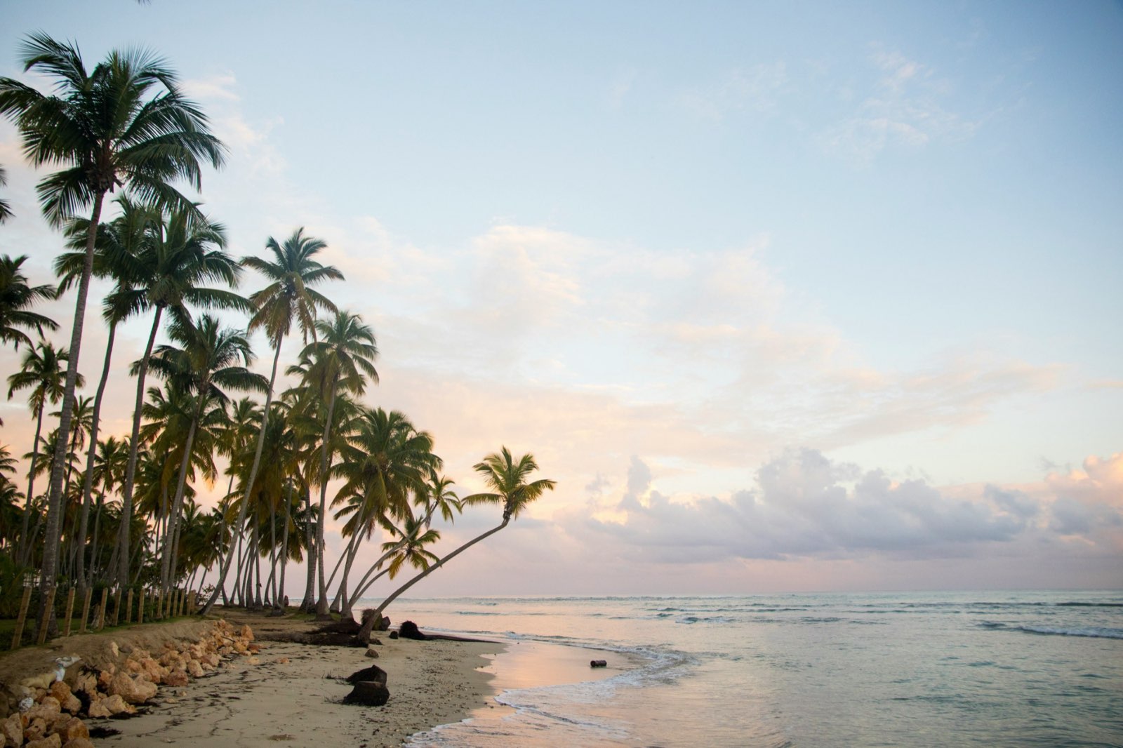 Une plage de Las Terrenas au lever du jour, cocotiers et palmier penché sur la mer