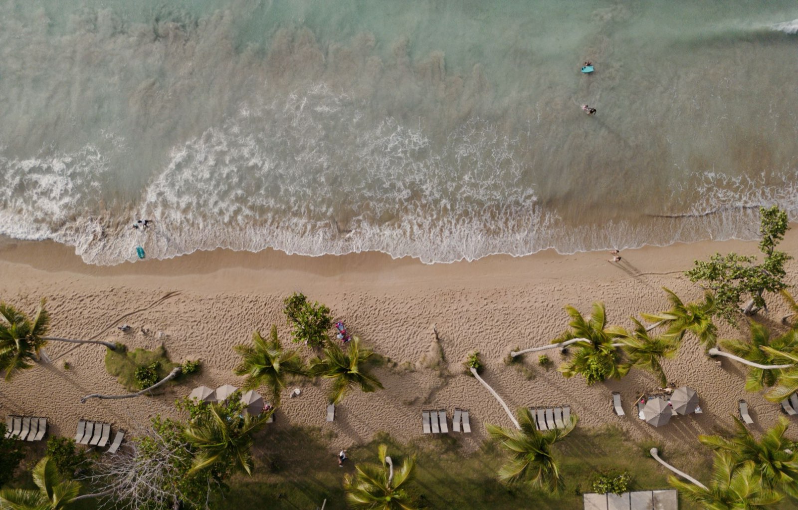 Vue aérienne d'une plage de Las Terrenas : vagues, baigneurs et chaises longues sous les cocotiers